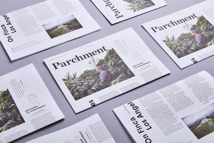 Back in Print: Parchment Vol. 001