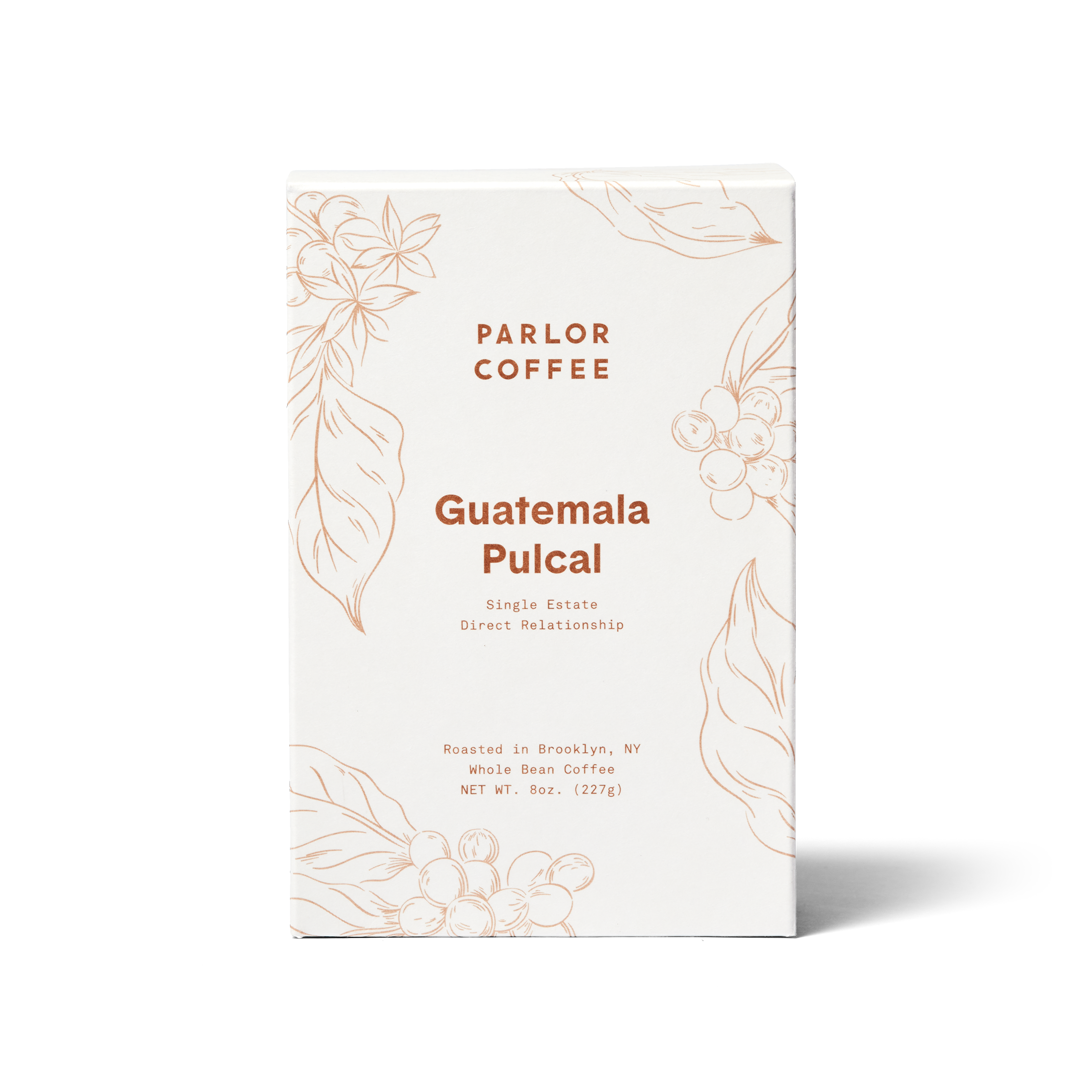 Photo of Guatemala Pulcal